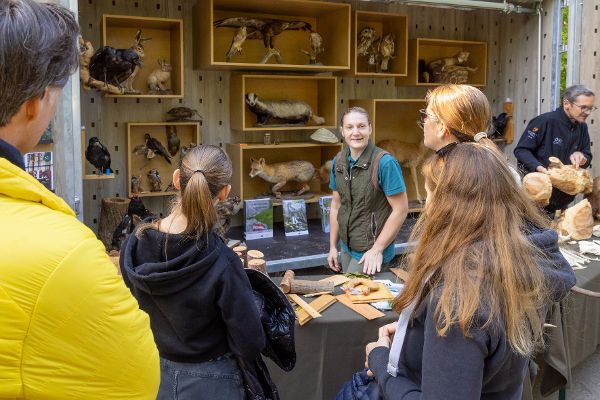 Publikumstag Schutzwald findet STADT