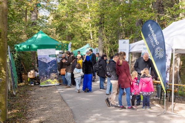 Publikumstag Schutzwald findet STADT
