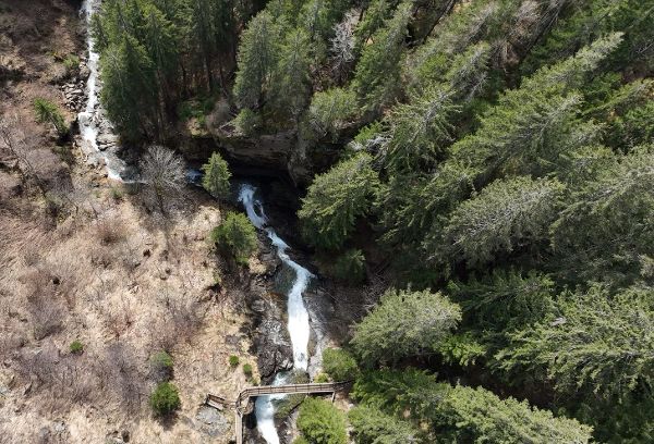 Drohnenflug über Schutzwald