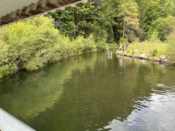 Zu sehen sind Personen die in einen Staubereich waten.