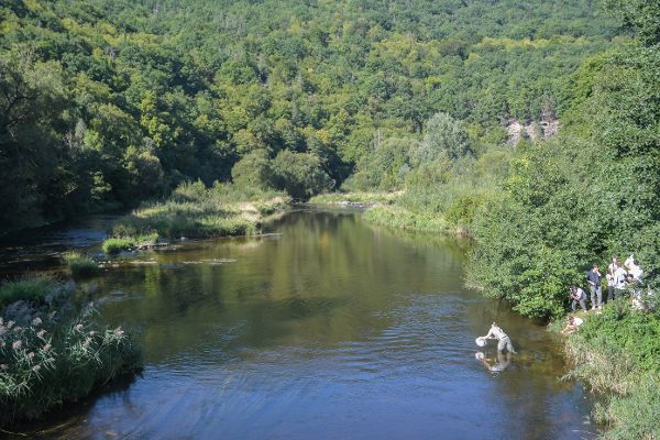 Fluss umgeben mit Straeuchern und Baeumen
