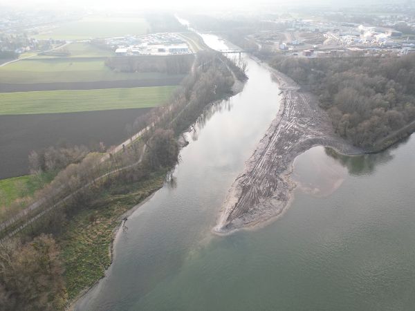 Muendungsbereich eines Flusses umgeben von gruener und bewaldeter Flaeche