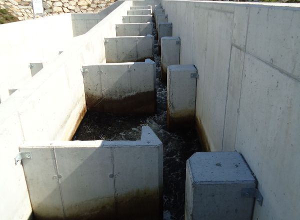 Fischaufstiegshilfe an der Ybbs bei Greinsfurth