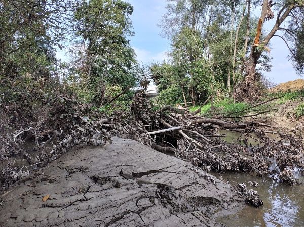 Sedimentablagerung in der Lafnitz.