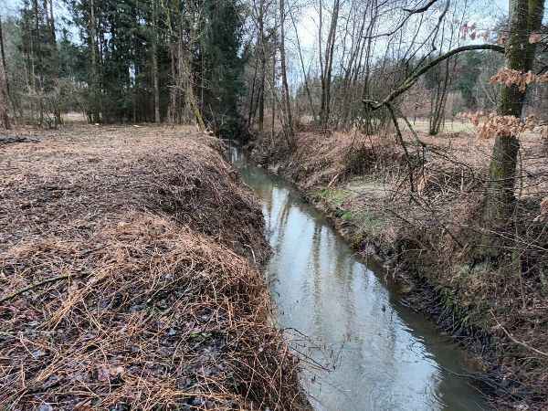 Zu sehen ist der Fluss im Südburgenland zwischen Litzelsdorf und Ollersdorf in einem stark regulierten Zustand.