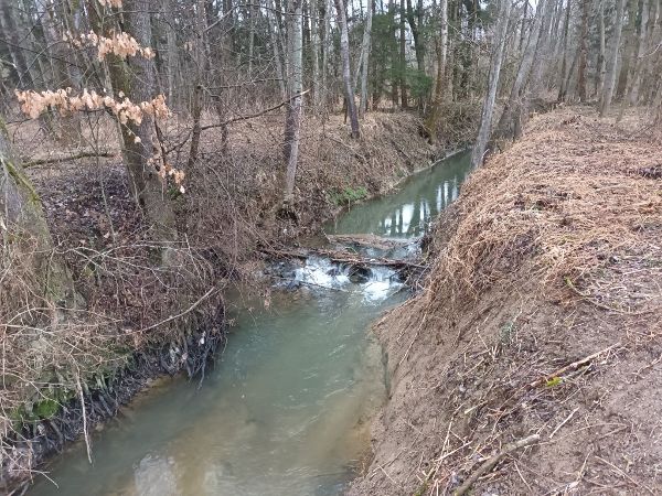 Zu sehen ist die Strem im Südburgenland zwischen Litzelsdorf und Ollersdorf mit einer Sohlstufe in stark reguliertem Zustand.