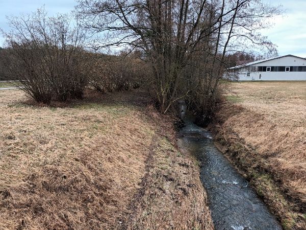 Zu sehen ist der Fluss im Südburgenland zwischen Litzelsdorf und Ollersdorf in einem stark regulierten Zustand.