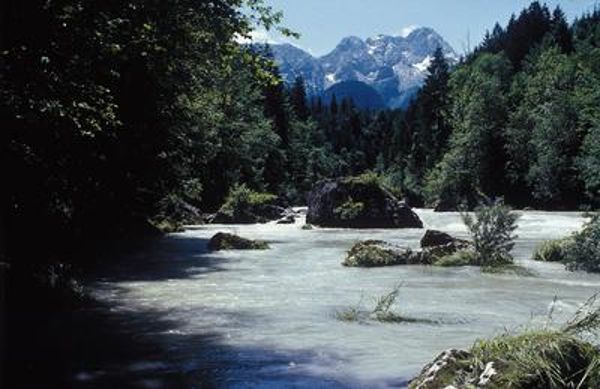 Flusslandschaft
