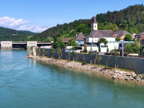 Hochwasserschutzmauer entlang der Drau mit initialer Bepflanzung