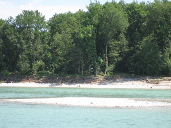 Salzach - weiche Ufer