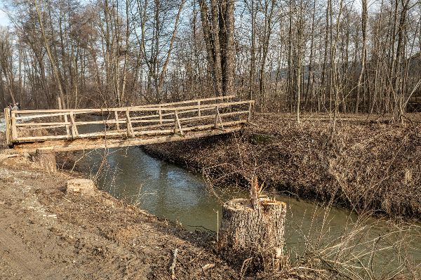 Holzsteg ueber einen Fluss, Baeume ohne Laub, Bild braun in braun