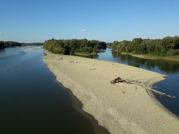 Natürliche Drau in Kroatien