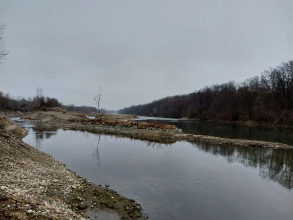 Seitenarm der Mur