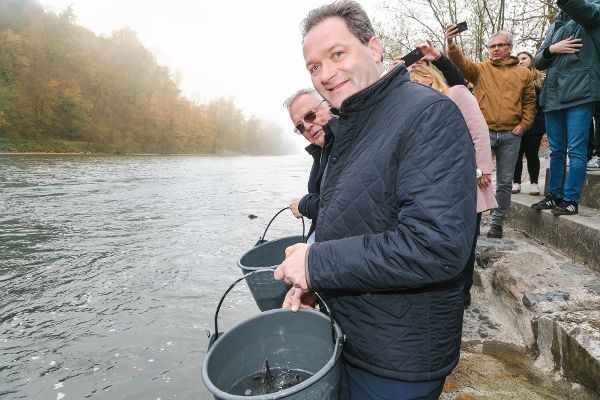 Minister Totschnig beim Aussetzen von Stören