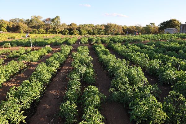 Exkursion bei der Ramsar Konvention.