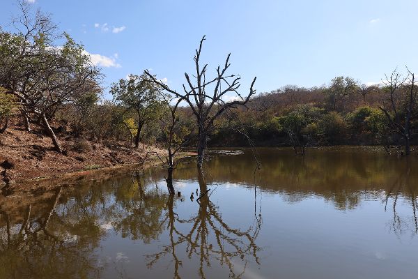 Feuchtgebiet bei einer Exkursion.