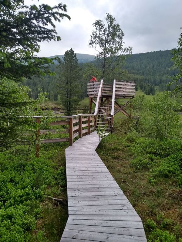 Sankt Lorenzer Hochmoor