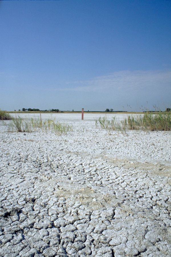 Nationalpark Neusiedler See-Seewinkel
