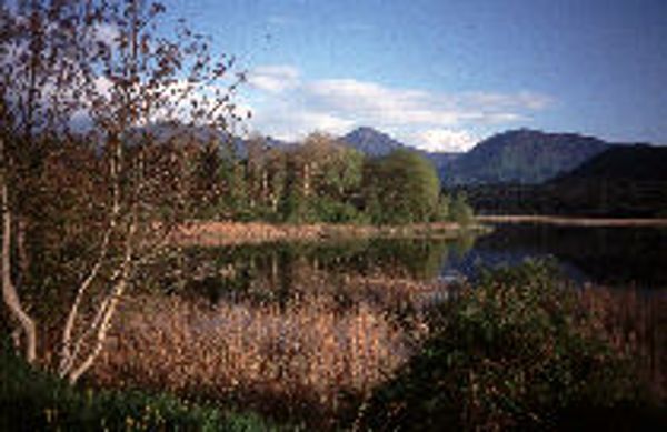 Sablatnigmoor