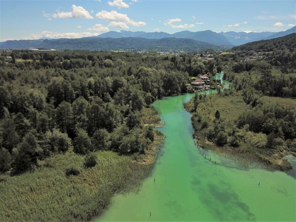 Sumpfgebeit von Wald umgeben