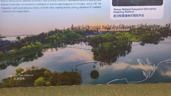 Landschaftsbild von Wuhan mit Text und hervorgehobener Aufschrift Wuhan Wetland Ecosystem Information Modelling Plattform