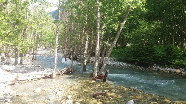 Anlaufbach - Wasserwald