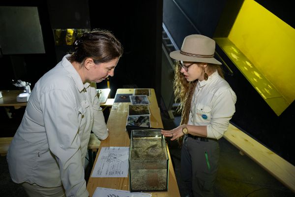 Mitarbeiterinnen des Nationalparks Donauauen sprechen miteinander, unter ihnen ist ein Aquarium mit einem Krebs