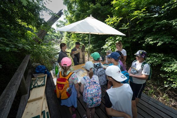 Schülerinnen und Schüler stehen bei der Station Wen juckt's auf einer Plattform, rundherum ist Gehölz