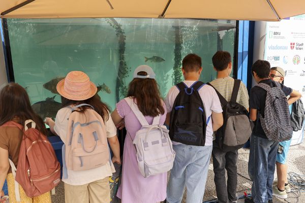 Foto von einer Schülerinnen und Schülergruppe vor dem Aquarium.