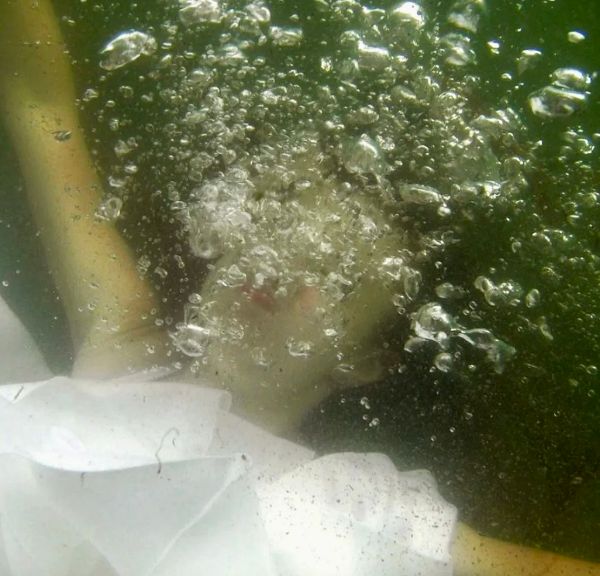 Top 2 in der Kategorie Fotografie bei dem 12 bis 18 Jährigen.