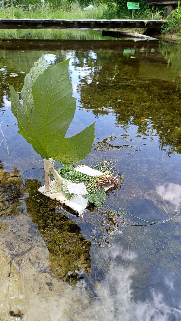 Top 3 des Danube Art Masters in der Kategorie Kunstwerk bei den 6 bis 11 Jährigen.