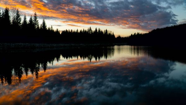 Zu sehen ist der Schlesingerteich bei Sonnenuntergang,
