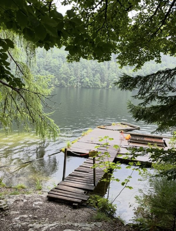 Vierter Platz des Publikumsvotings mit dem Foto Shades of green am Toplitzsee.
