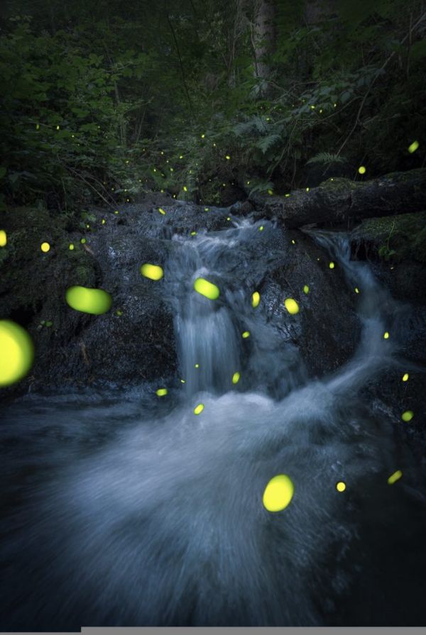 "Glowing Night"