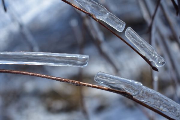 „Wasser in seiner schönsten Starre“