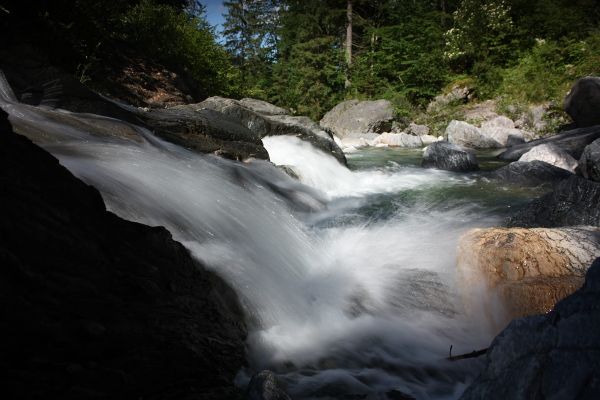 "Wasser"