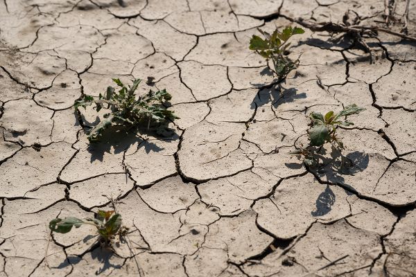 Ausgetrockneter Boden.