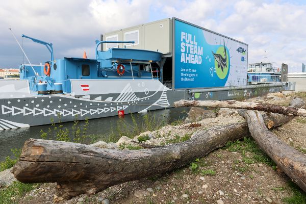 Europas erste schwimmende Aufzuchtstation für Störe eröffnet auf der Donau in Wien