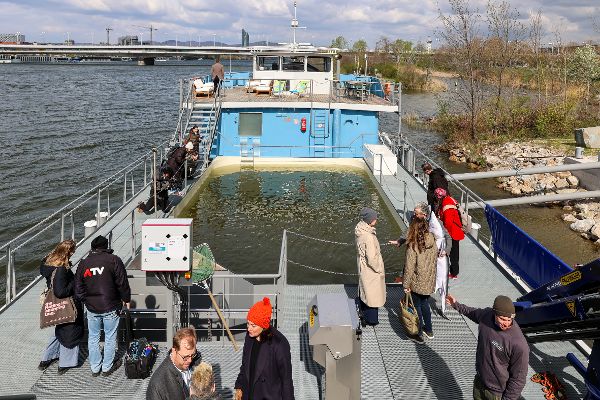 Europas erste schwimmende Aufzuchtstation für Störe eröffnet auf der Donau in Wien