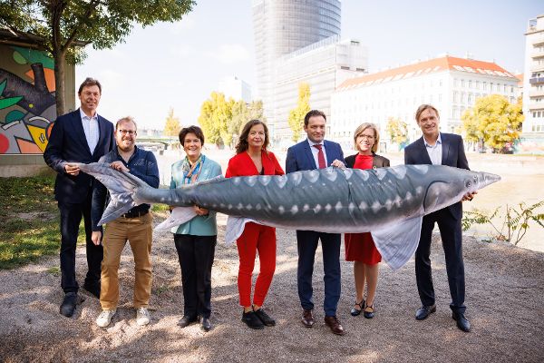 Auf dem Foto sind die Teilnehmer des LIFE-Projektes mit einem großen Stör in der Hand zu sehen