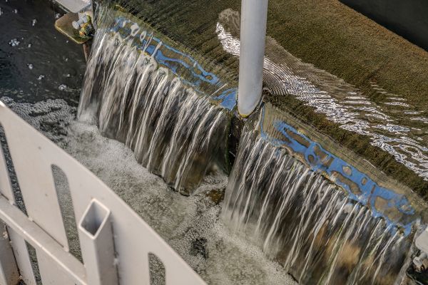 Nahaufnahme des gereinigten Abwassers, das über eine gezackte Überfallkante (Ablauf Rinne) in der Kläranlage Podersdorf am See fließt. Das klare Wasser stürzt in ein darunterliegendes Becken und bildet weißen Schaum, während im Vordergrund ein graues Metallgeländer zu sehen ist.