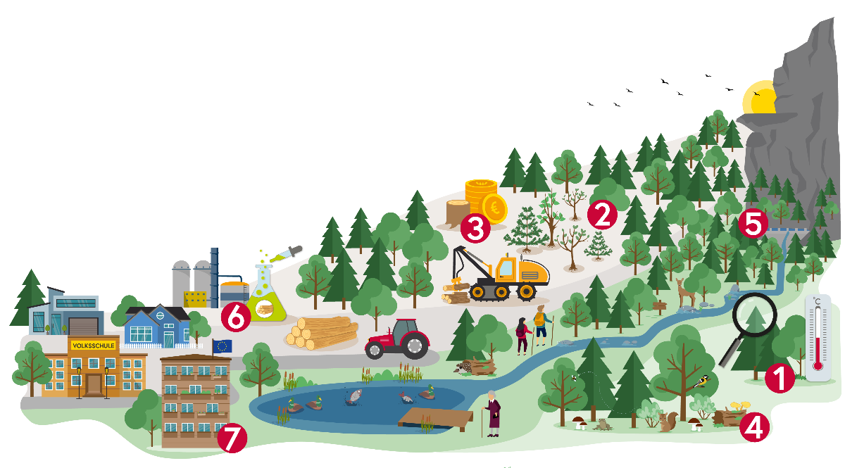 Gezeichnetes Bild einer Region mit Gebäuden, Wald, einem Teich, Bergen etc. Sie sollen die 7 Handlungsfelder  und Visionen der Waldstrategie 2020+ darstellen