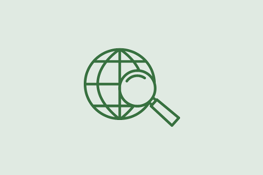  Icon International Welt Vergleich