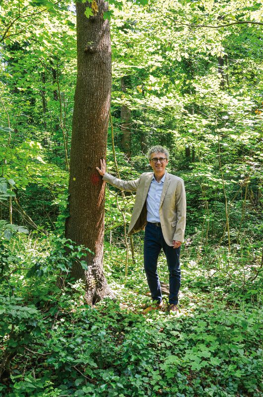 Porträt von Peter Mayer