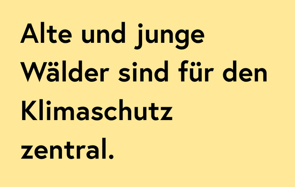 12_Faktencheck Kacheln