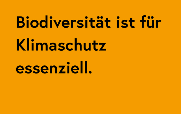 16_Faktencheck Kacheln