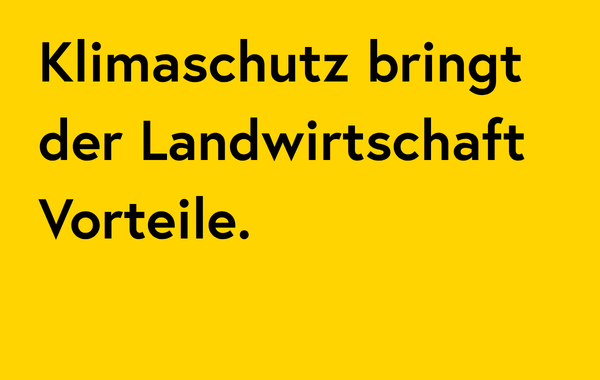 2_Faktencheck Kacheln