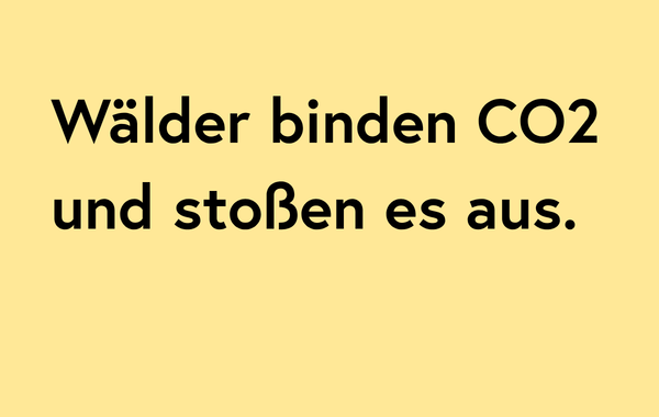 3_Faktencheck Kacheln