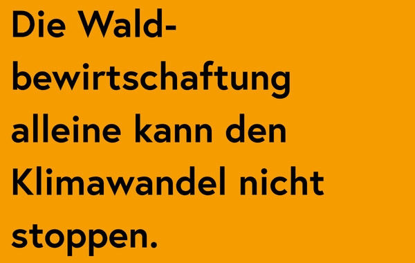 4_Faktencheck Kacheln