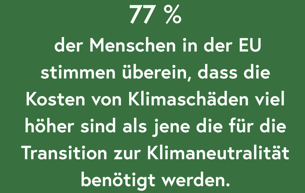 Kachel 4 Klimadesinformation